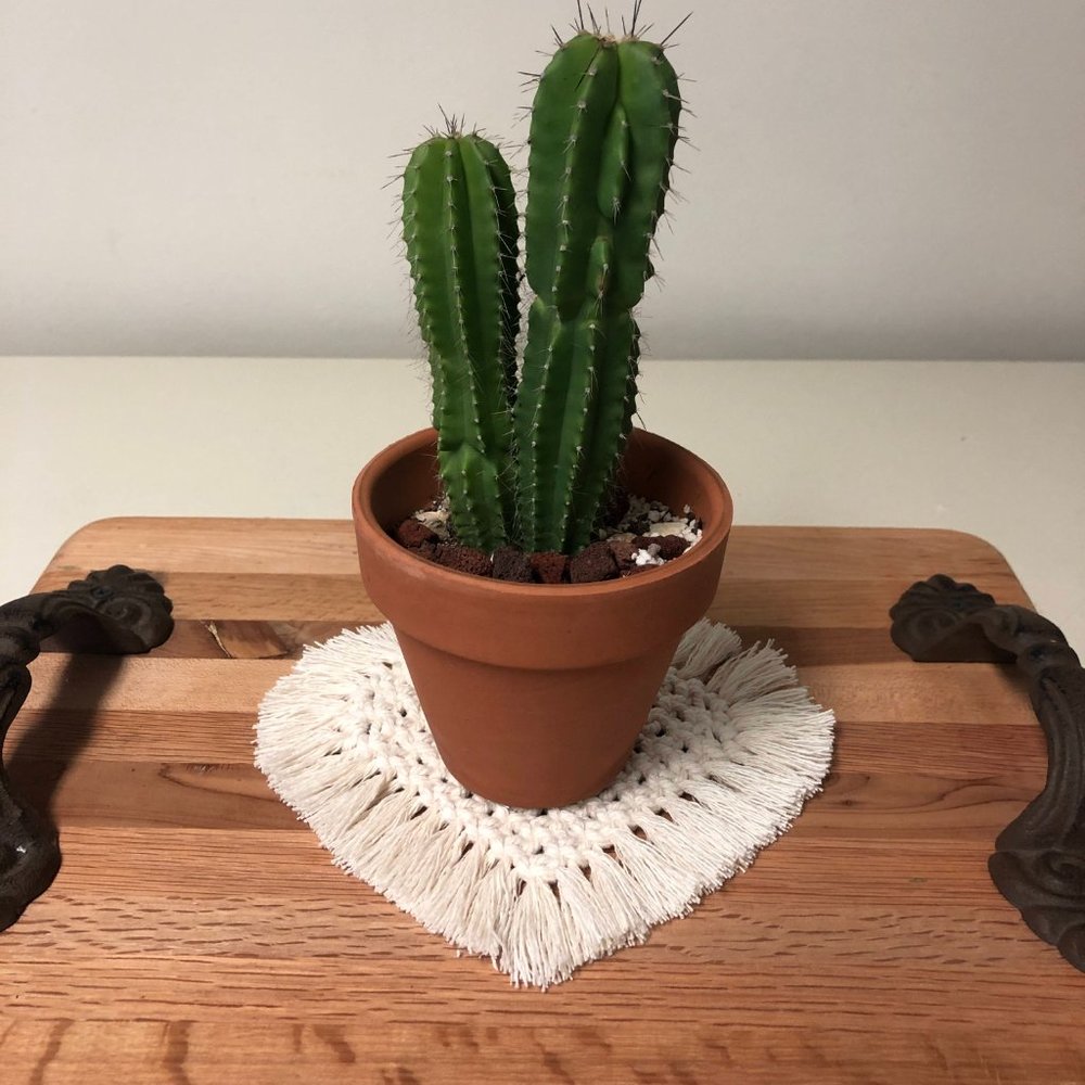 Handmade Boho 100% Cotton Macramé coasters - OFF WHITE. - Picture 5 of 11